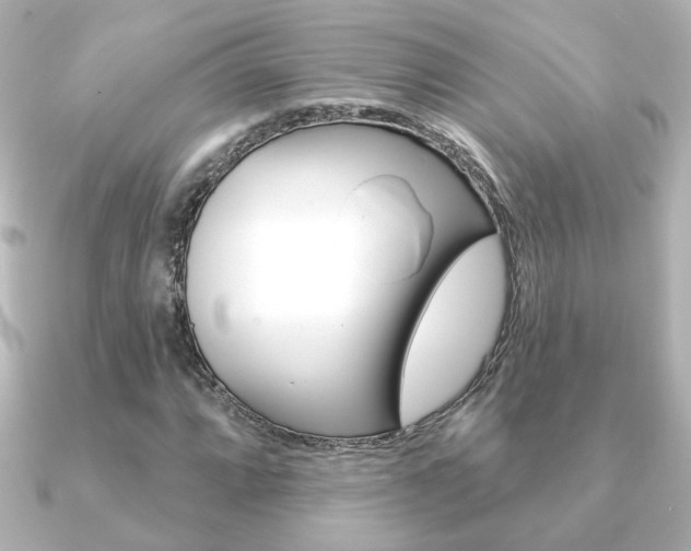 X0000091371064200708101110
