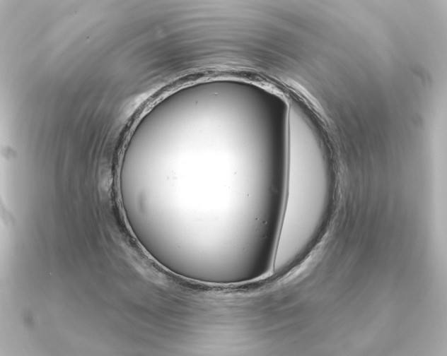 X0000091371065200708101110