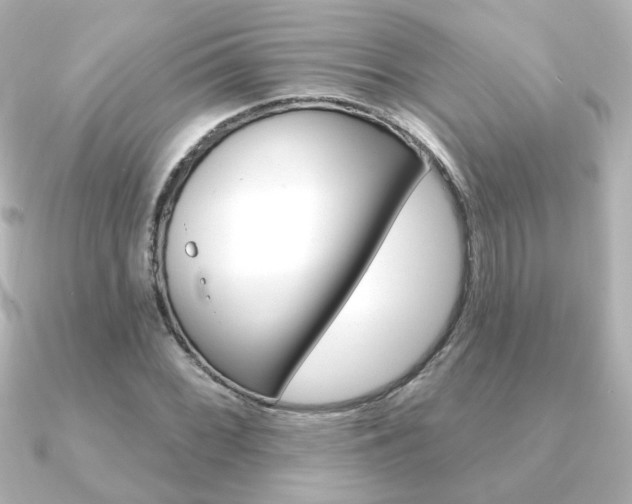 X0000091371068200708101110