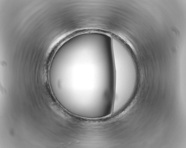 X0000091371069200708101110