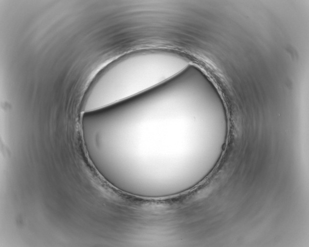 X0000091371073200708101110