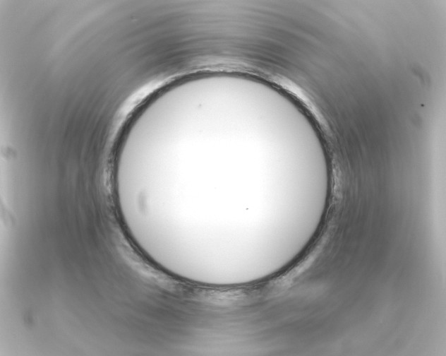 X0000091371074200708101110