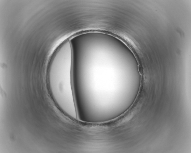 X0000091371077200708101110