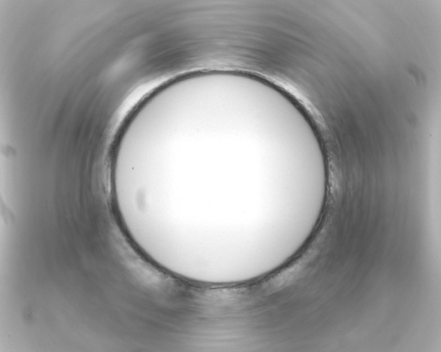 X0000091371078200708101110
