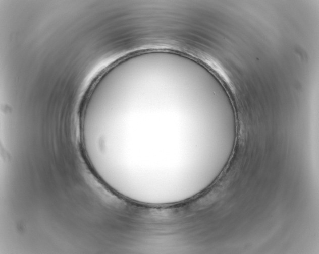 X0000091371080200708101110