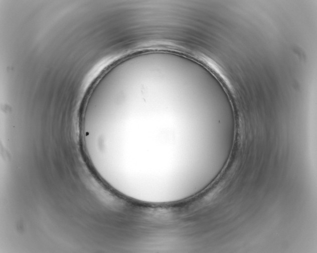 X0000091371082200708101110