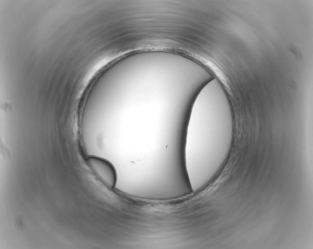 X0000091371083200708101110