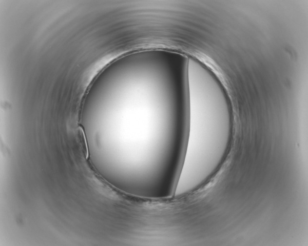 X0000091371089200708101110