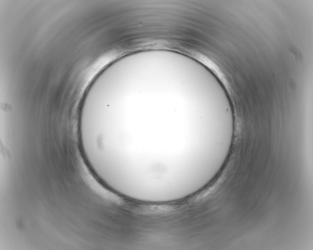 X0000091371090200708101110