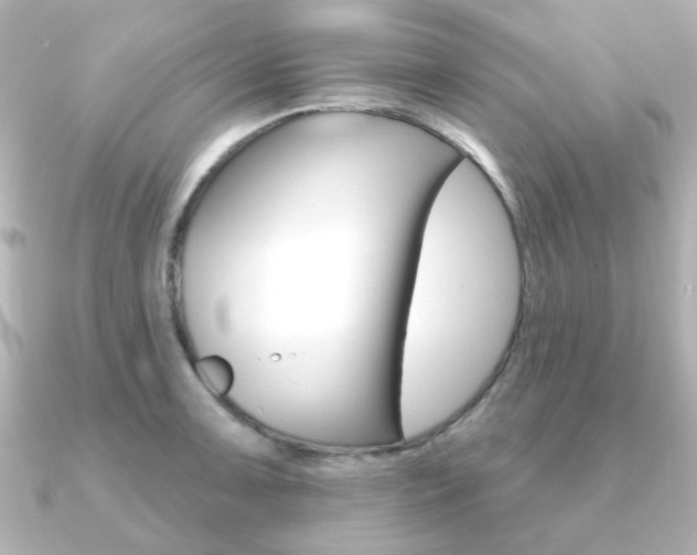 X0000091371091200708101110