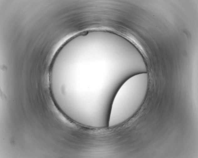 X0000091371092200708101110