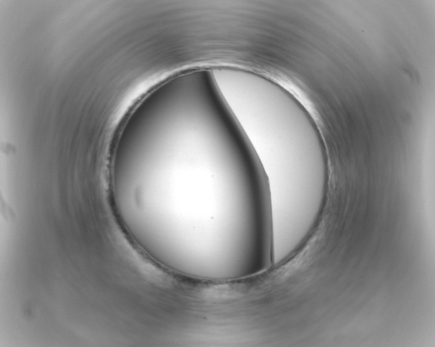 X0000091371093200708101110