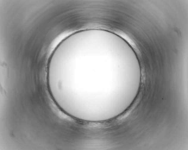 X0000091371094200708101110