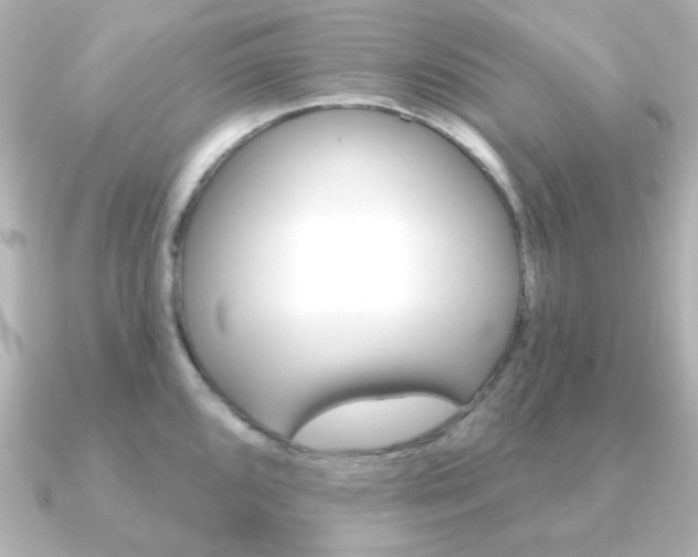 X0000091371096200708101110