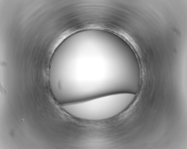 X0000091371097200708101110