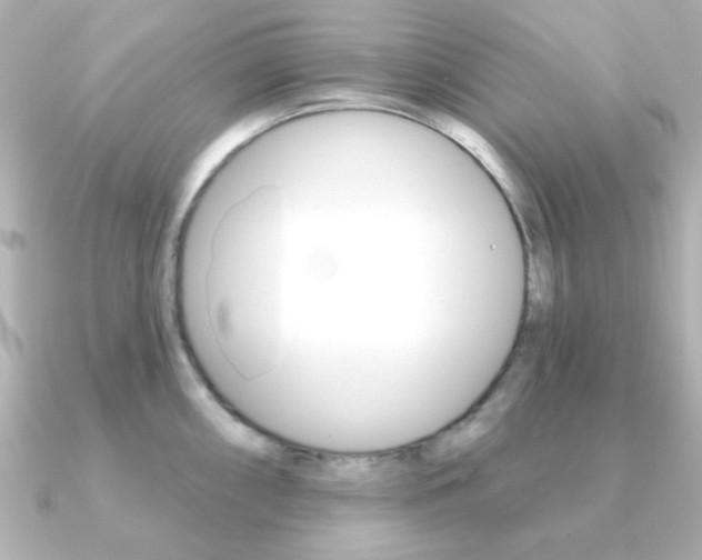 X0000091371098200708101110