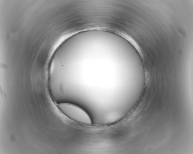 X0000091371099200708101110