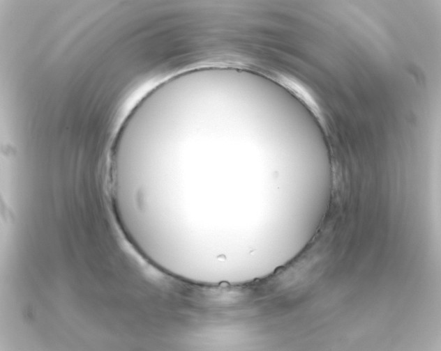 X0000091371103200708101110