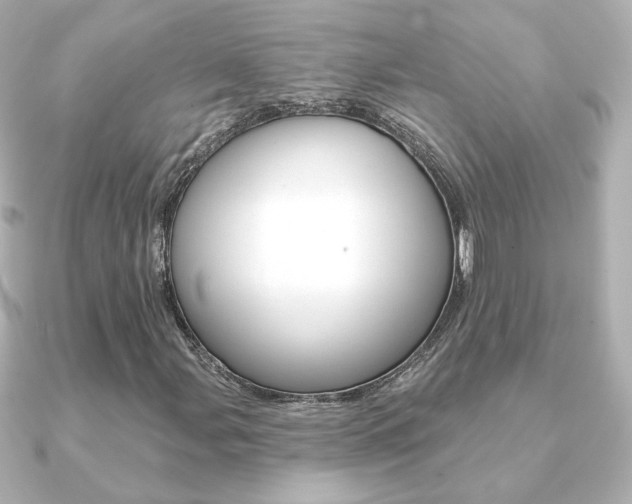 X0000091371107200708101109