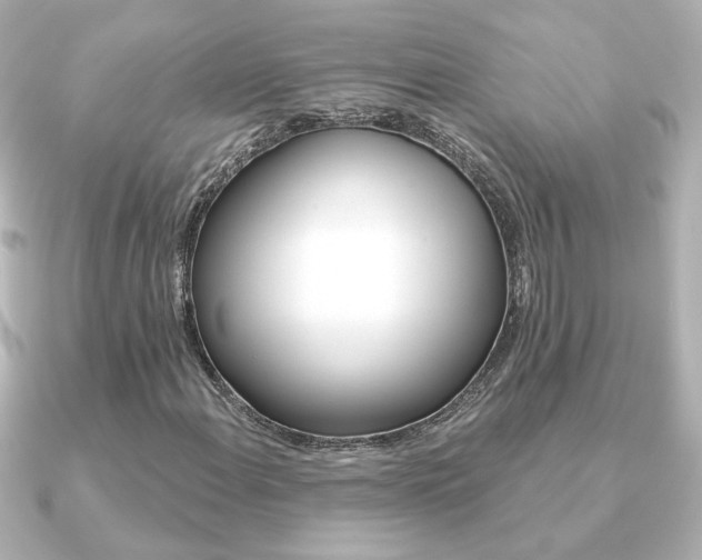 X0000091371108200708101109