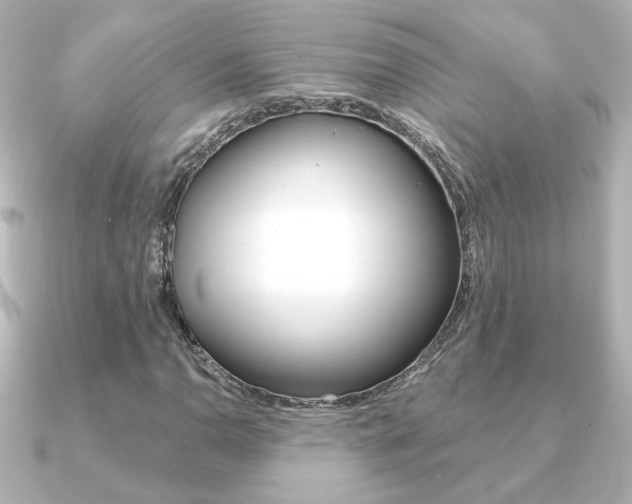 X0000091371110200708101109