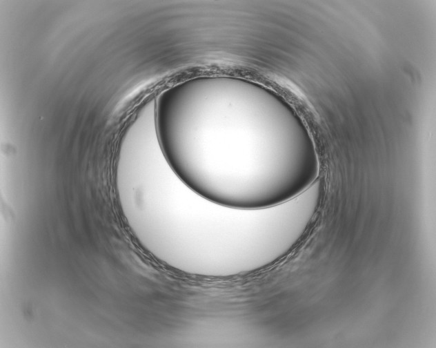 X0000091371112200708101109
