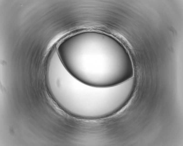 X0000091371114200708101110