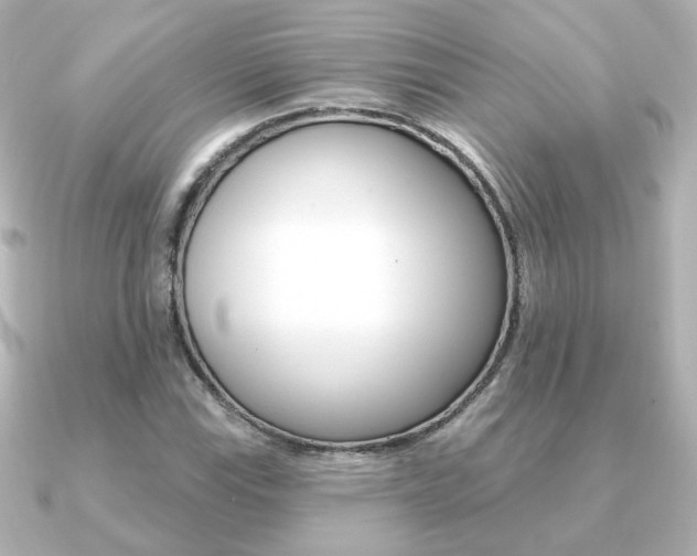 X0000091371115200708101110