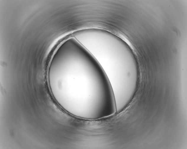 X0000091371116200708101110