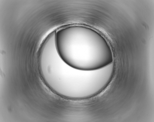 X0000091371118200708101110