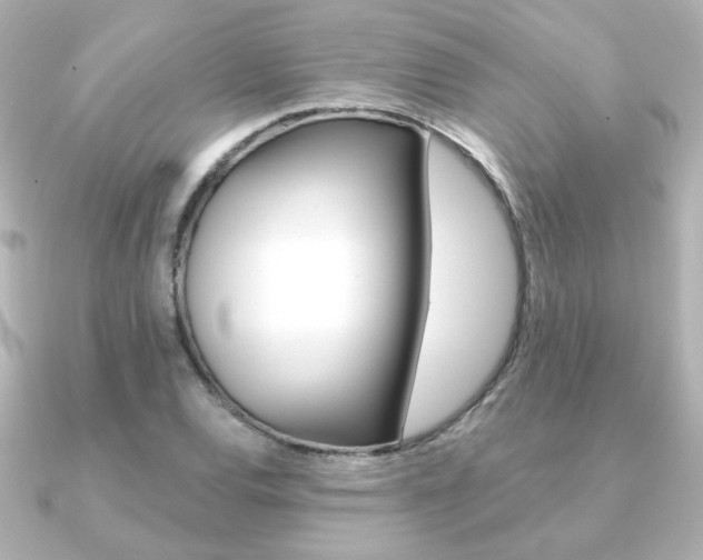 X0000091371120200708101110