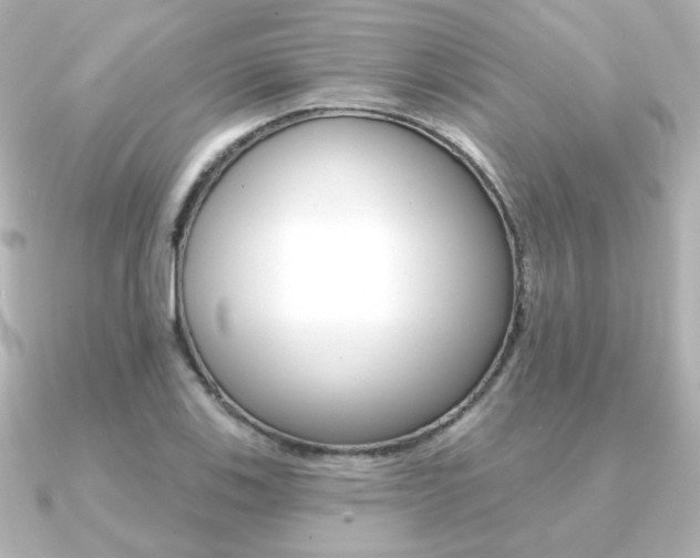 X0000091371123200708101110