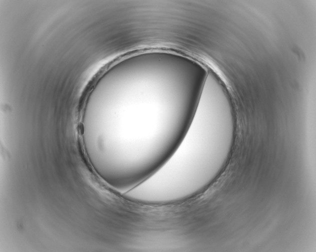 X0000091371124200708101110