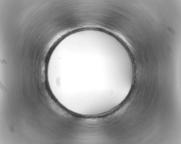 X0000091371126200708101110