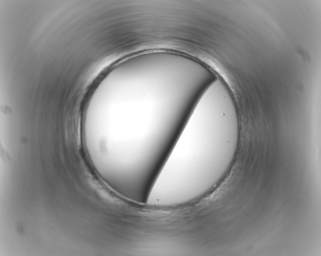 X0000091371127200708101110