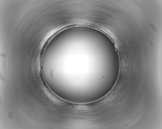 X0000091371128200708101110