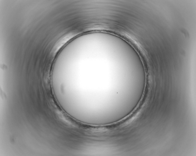 X0000091371129200708101110