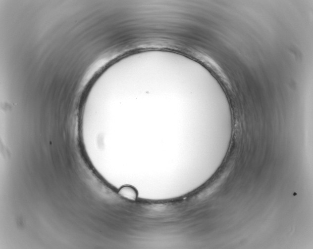 X0000091371130200708101110