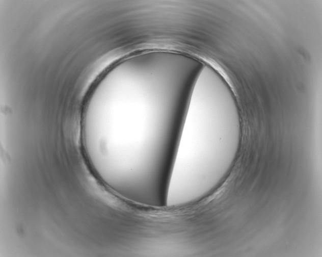 X0000091371131200708101110