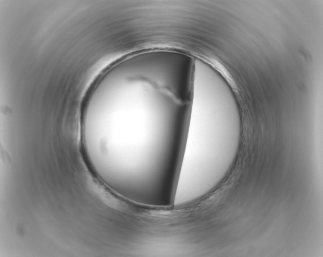 X0000091371132200708101110