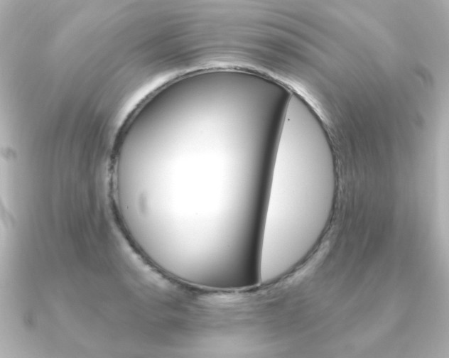 X0000091371134200708101110