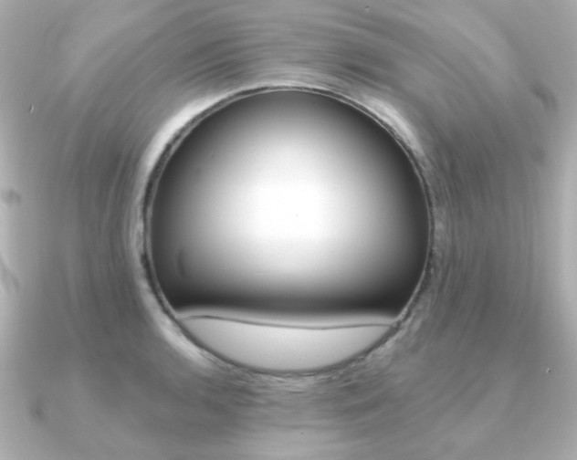 X0000091371136200708101110