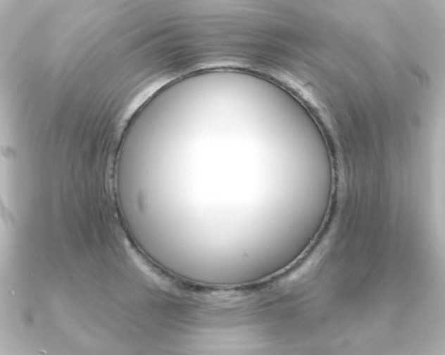 X0000091371137200708101110