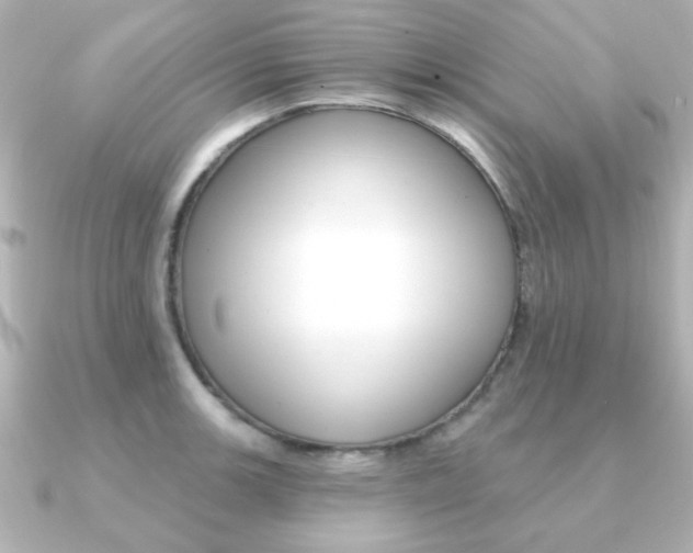X0000091371139200708101110