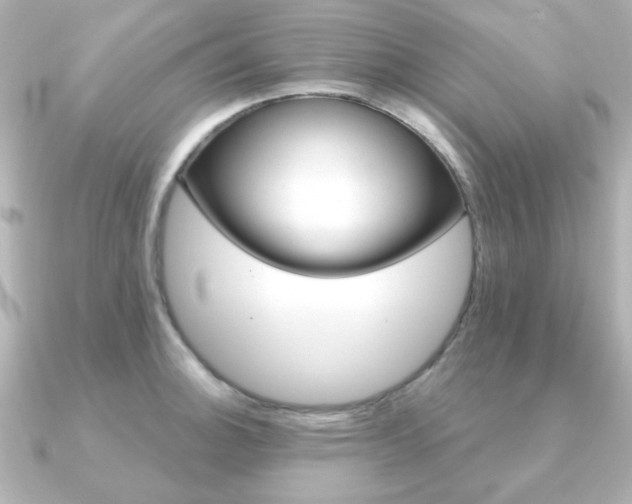 X0000091371140200708101110