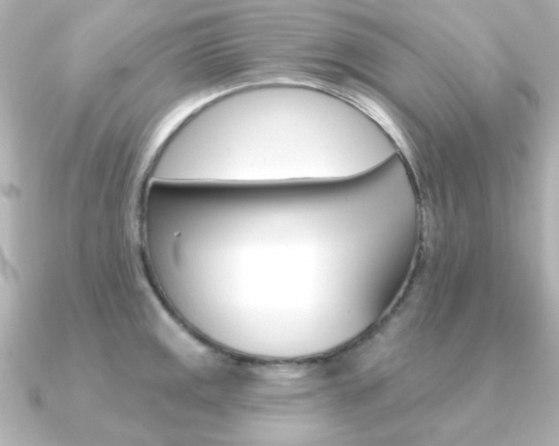 X0000091371141200708101110