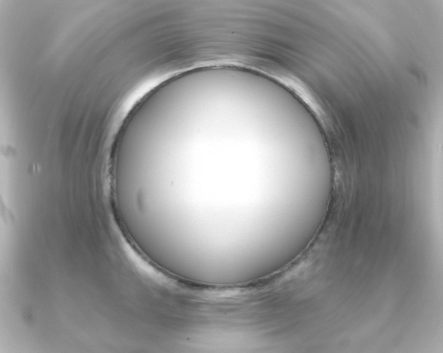 X0000091371143200708101110