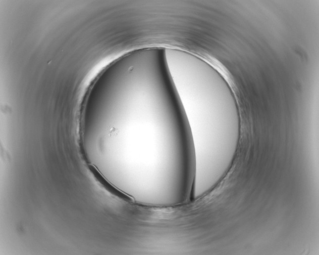 X0000091371144200708101110