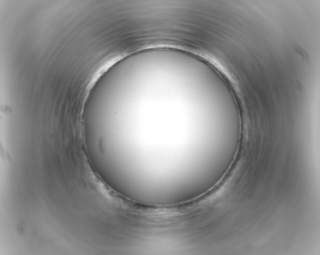 X0000091371145200708101110