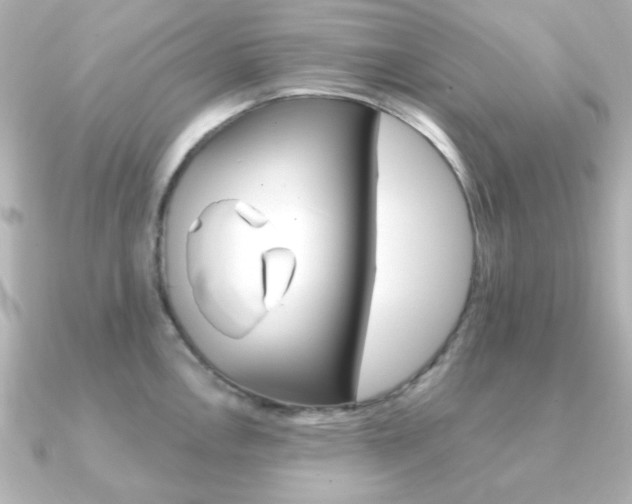 X0000091371146200708101110